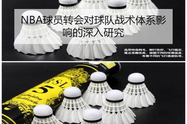 NBA球员转会对球队战术体系影响的深入研究
